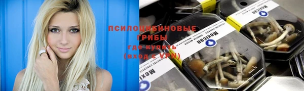 винт Белокуриха