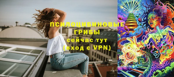 винт Белокуриха