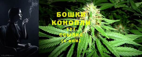 винт Белокуриха
